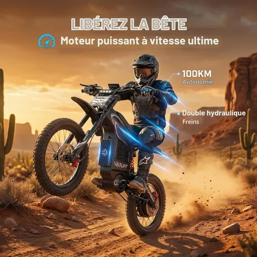 GT600 Moto électrique de cross pour adultes, batterie 72 V et 30 Ah, autonomie de 160 km, pneus tout-terrain de 19 à 17 pouces, démarrage NFC, double suspension et freins hydrauliques