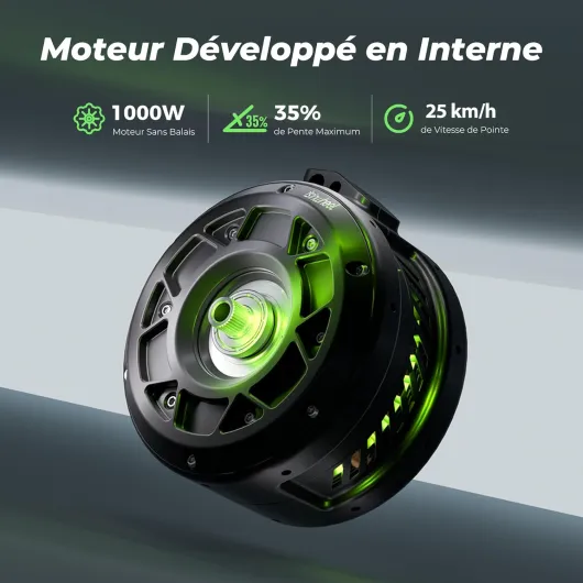 Isinwheel S10MAX Trottinette Électrique Adulte 1000W,Batterie 54.6V 15Ah,Autonomie 60KM,Pneus Tout Terrain 10",Double Bras Oscillant,APP Connectée,Écran LED,Pliable avec Sac de Transport