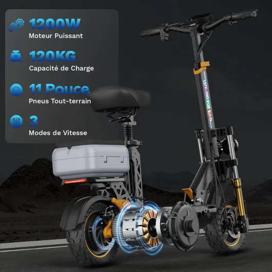 71shu94UsdL._AC_SL1500_