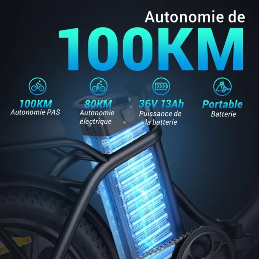 HillMiles MilePort 1 Vélo Électrique Pliant Adulte, Autonomie 100 km,Batterie 36V 13Ah Amovible, Pneus Fat 20×3.0, Vitesse 25 km/h, 250W, VAE Idéal Ville & Trajets Quotidiens Noir standard