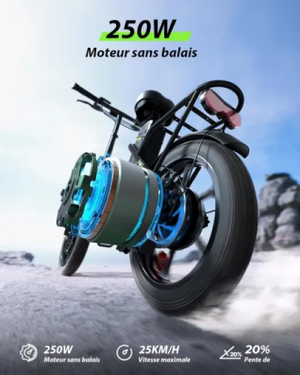 Vélo Électrique Pliable Adulte- Batterie Amovible 36V 10.4Ah - Charge Rapide 4-5H - Autonomie 56-60KM - Moteur 250W Réglementé - Freins à Disque Suspension Avant - VAE Urbain Déplacement Quotidien