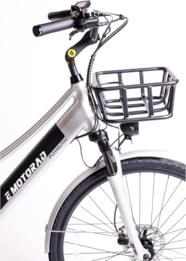 EMotorad Plymouth - Vélo Électrique Urbain pour Adultes - Pneus CST 700x40C - Moteur 36V 250W - Batterie Amovible 420 Wh - Cadre Bas en Aluminium - 5 Niveaux d’Assistance Argent